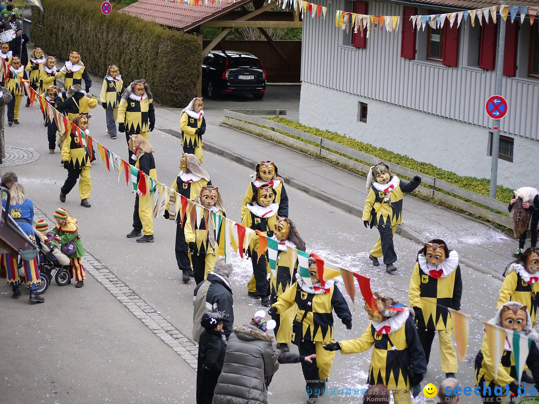 Faschingsumzug: Wasserburg am Bodensee, 08.02.2014