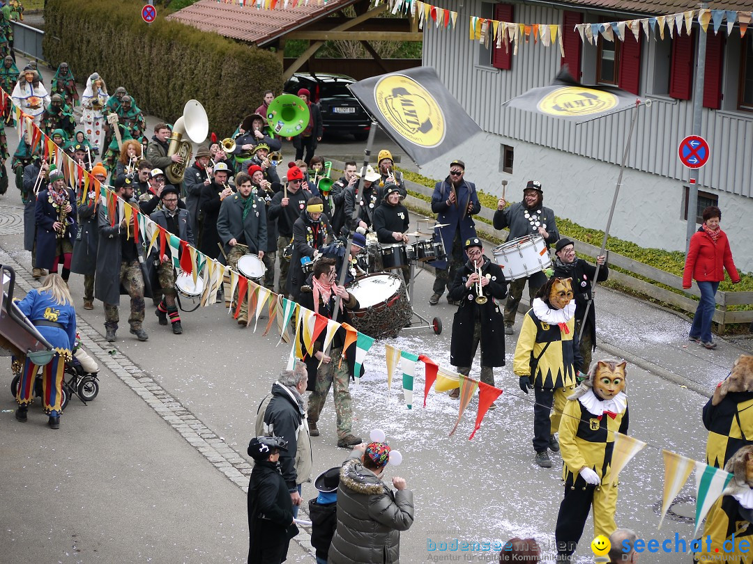 Faschingsumzug: Wasserburg am Bodensee, 08.02.2014