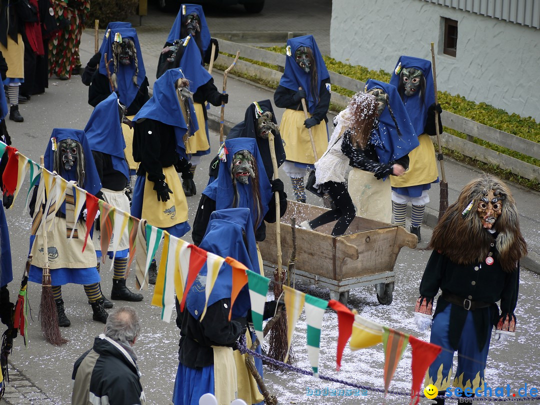 Faschingsumzug: Wasserburg am Bodensee, 08.02.2014