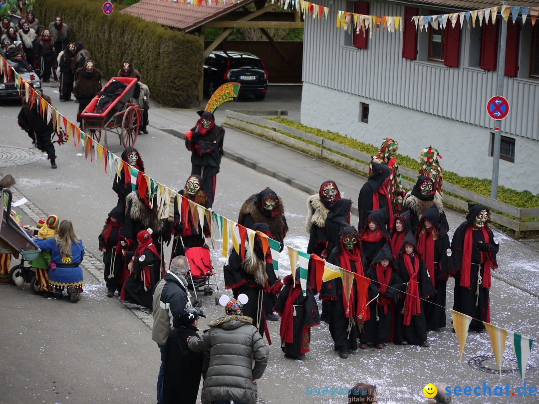 Faschingsumzug: Wasserburg am Bodensee, 08.02.2014