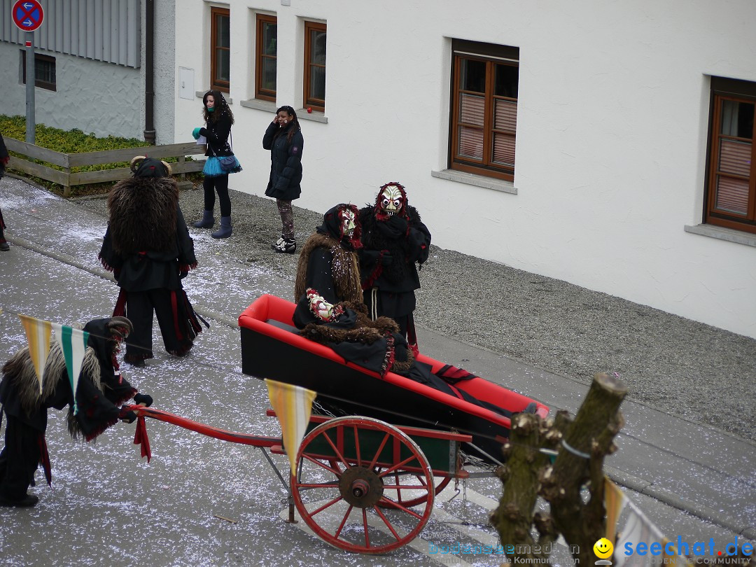 Faschingsumzug: Wasserburg am Bodensee, 08.02.2014