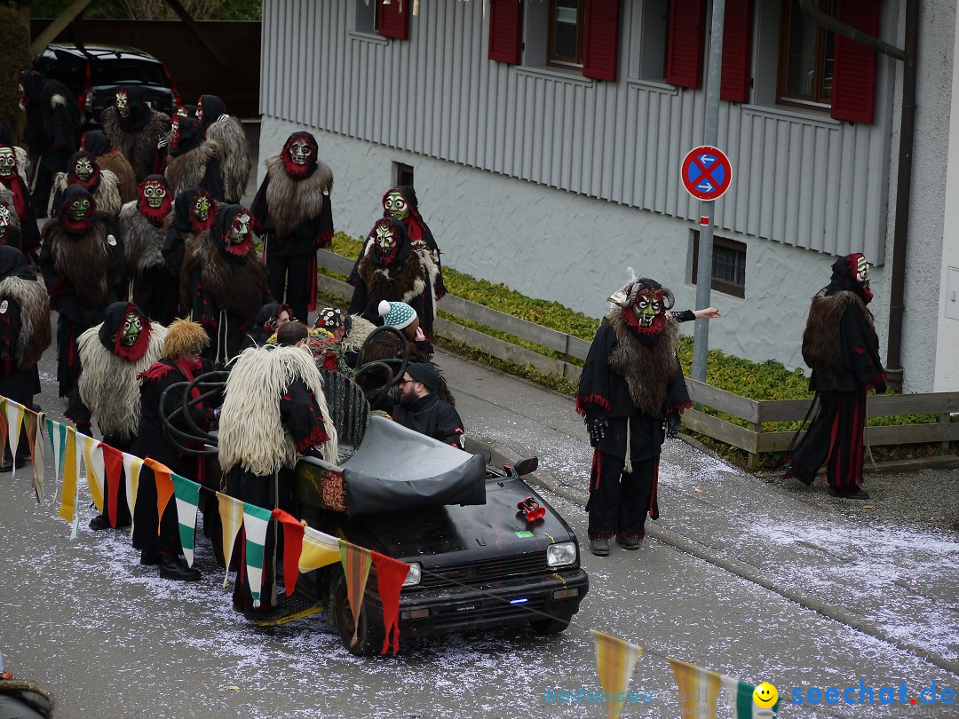 Faschingsumzug: Wasserburg am Bodensee, 08.02.2014