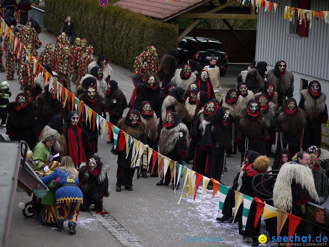 Faschingsumzug: Wasserburg am Bodensee, 08.02.2014