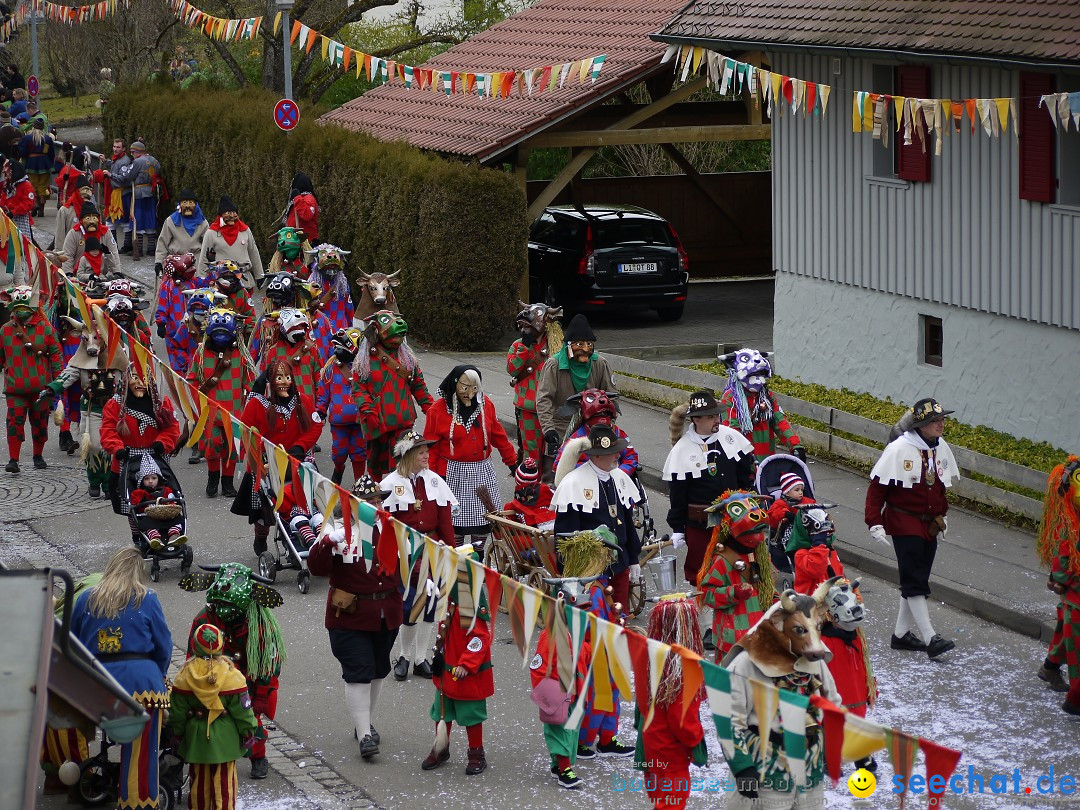 Faschingsumzug: Wasserburg am Bodensee, 08.02.2014