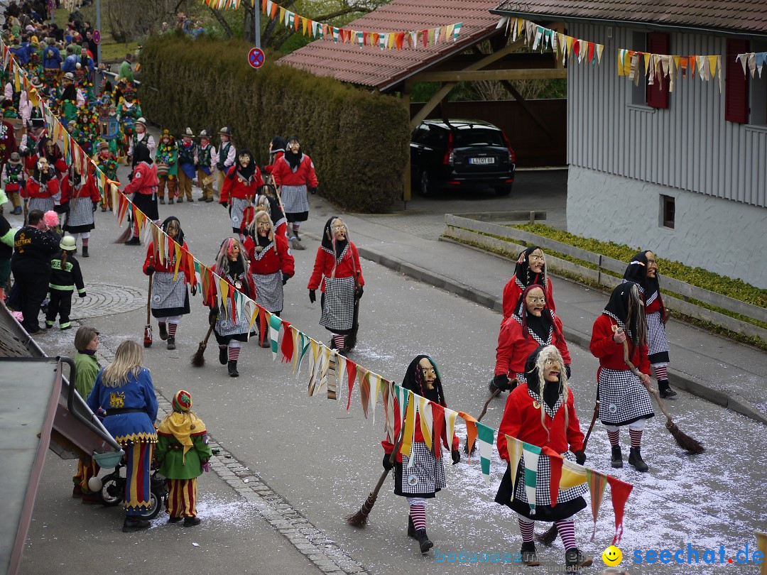 Faschingsumzug: Wasserburg am Bodensee, 08.02.2014