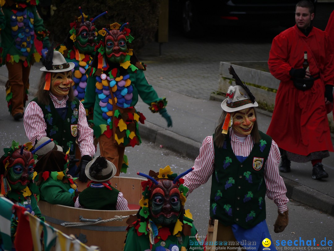 Faschingsumzug: Wasserburg am Bodensee, 08.02.2014