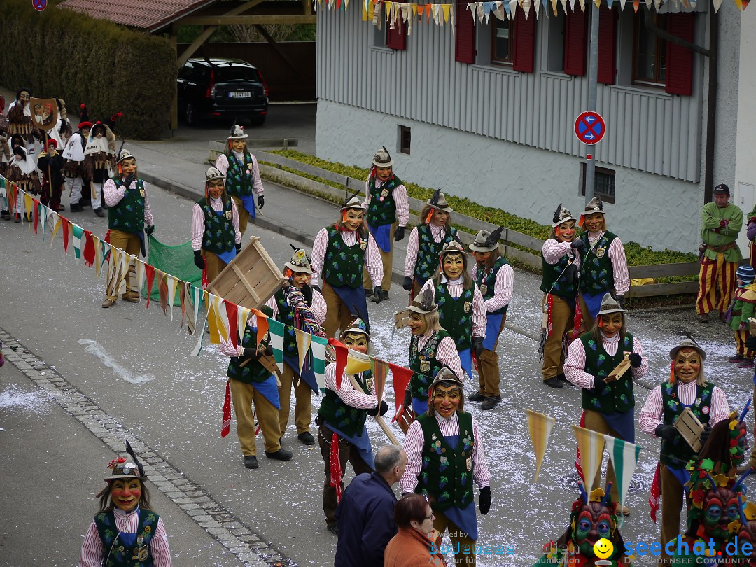 Faschingsumzug: Wasserburg am Bodensee, 08.02.2014