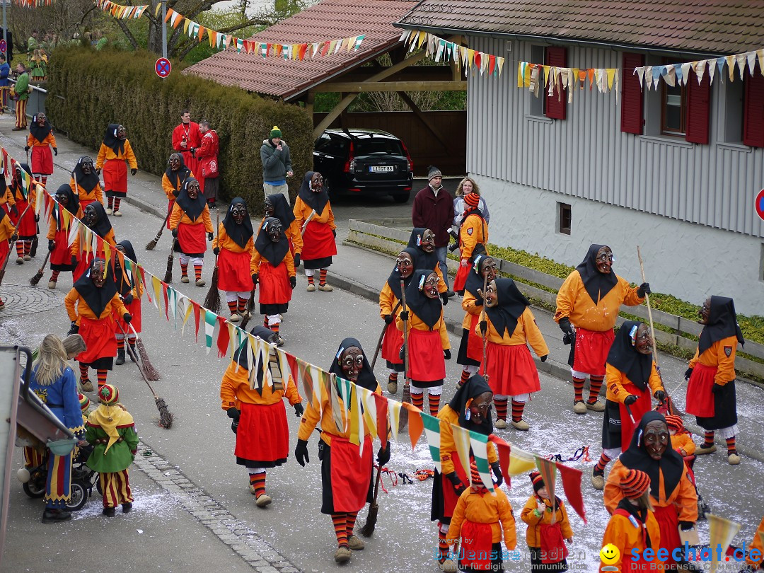 Faschingsumzug: Wasserburg am Bodensee, 08.02.2014