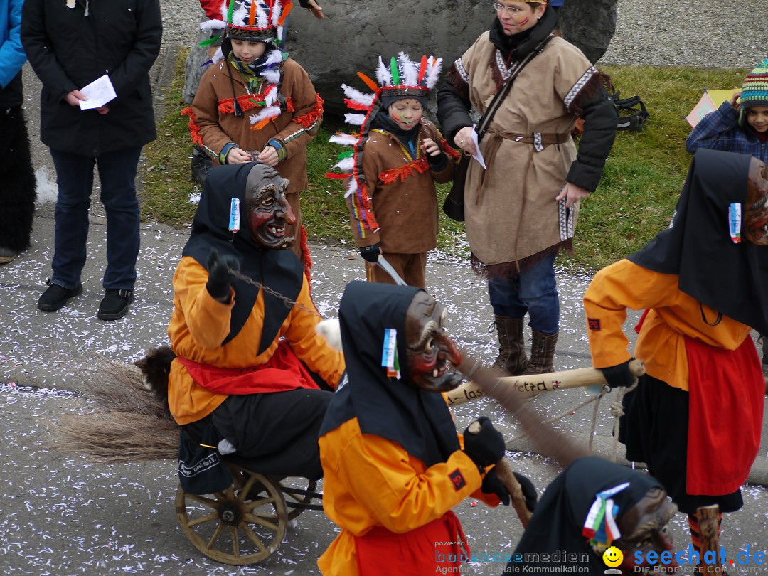 Faschingsumzug: Wasserburg am Bodensee, 08.02.2014