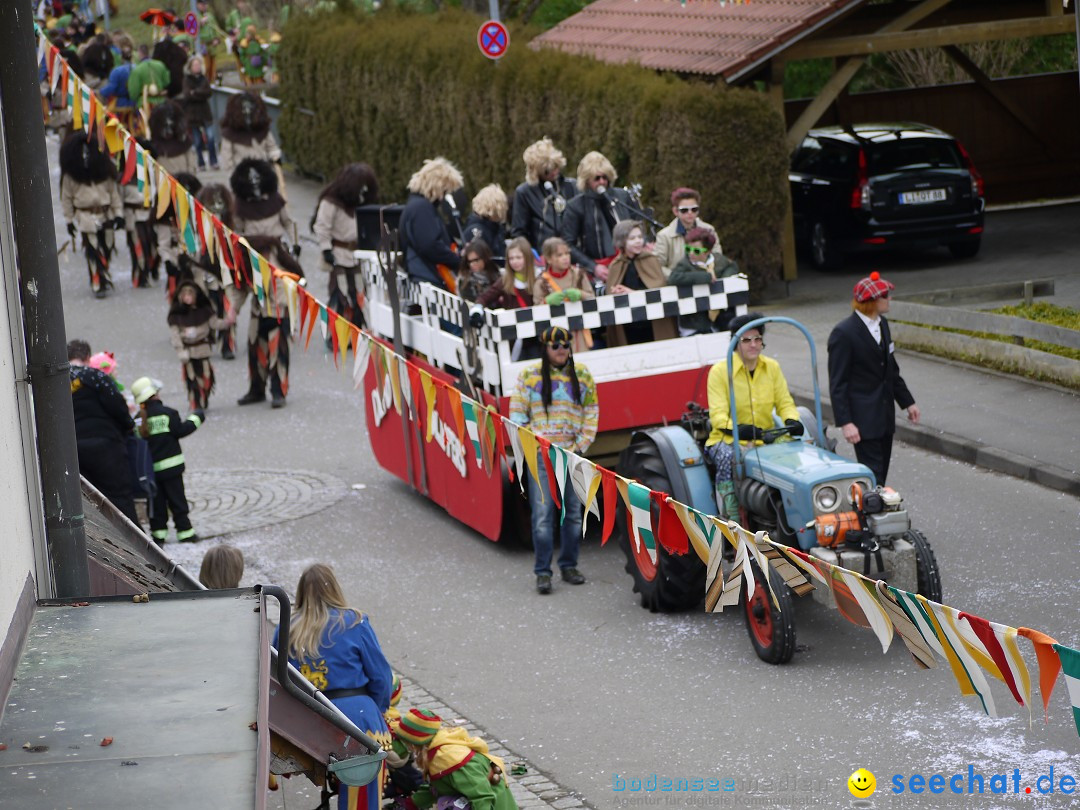 Faschingsumzug: Wasserburg am Bodensee, 08.02.2014