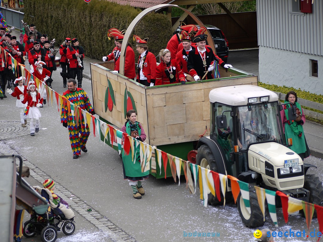 Faschingsumzug: Wasserburg am Bodensee, 08.02.2014