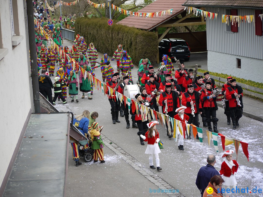 Faschingsumzug: Wasserburg am Bodensee, 08.02.2014