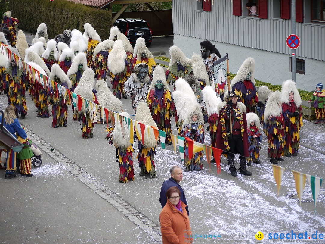 Faschingsumzug: Wasserburg am Bodensee, 08.02.2014