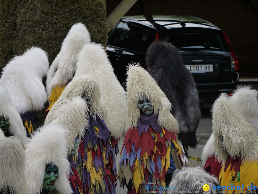 Faschingsumzug: Wasserburg am Bodensee, 08.02.2014