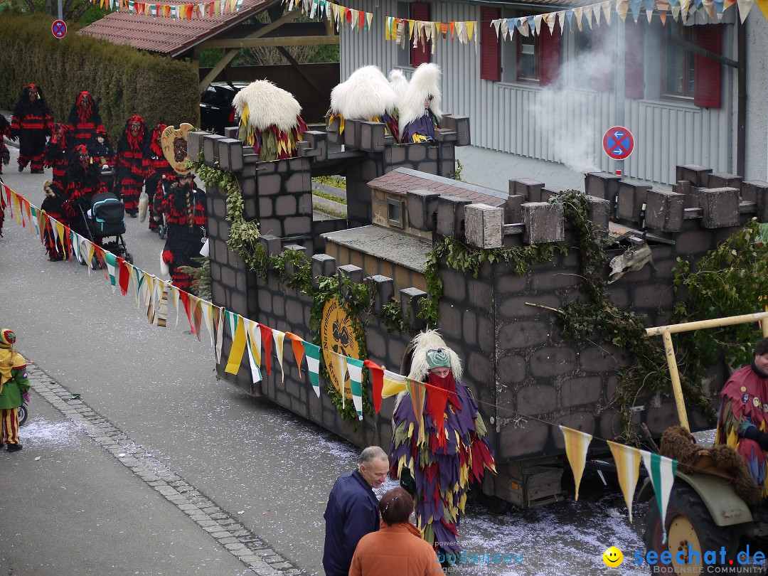 Faschingsumzug: Wasserburg am Bodensee, 08.02.2014