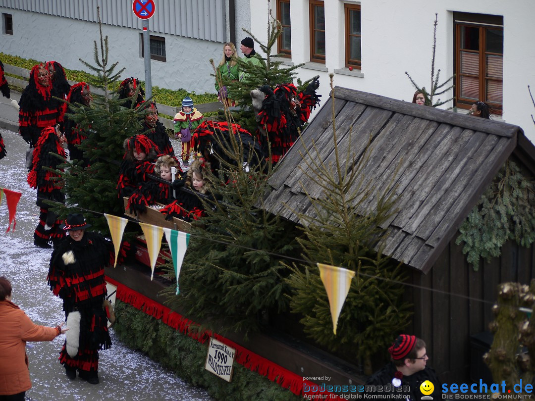 Faschingsumzug: Wasserburg am Bodensee, 08.02.2014