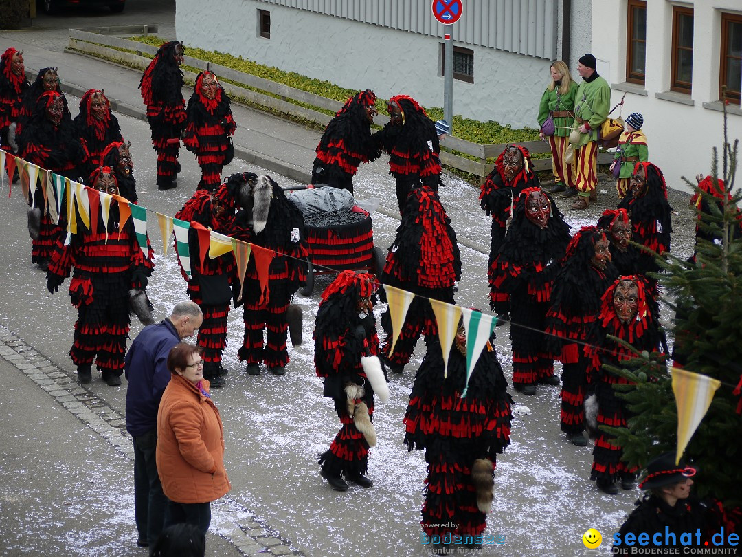 Faschingsumzug: Wasserburg am Bodensee, 08.02.2014