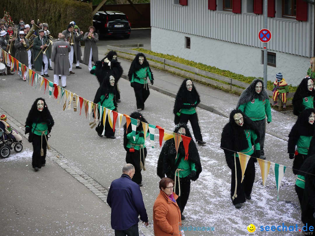 Faschingsumzug: Wasserburg am Bodensee, 08.02.2014