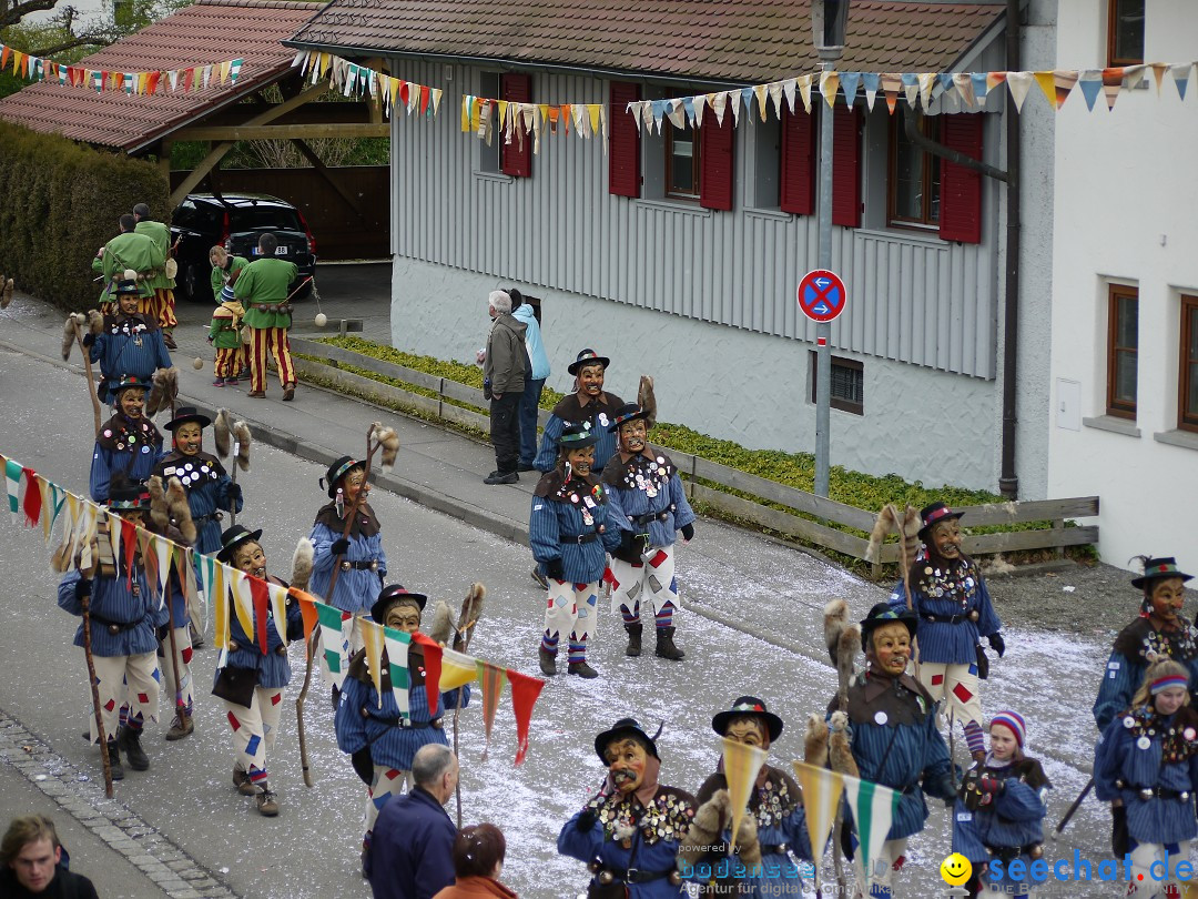 Faschingsumzug: Wasserburg am Bodensee, 08.02.2014