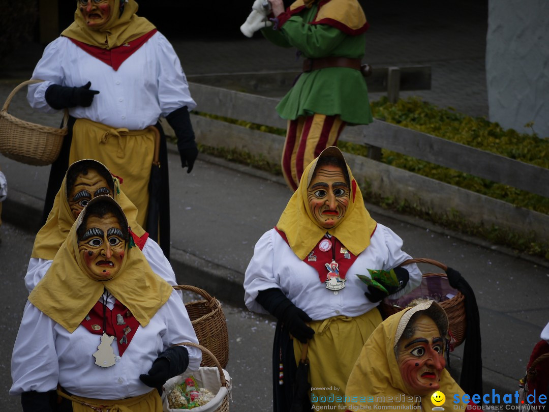 Faschingsumzug: Wasserburg am Bodensee, 08.02.2014