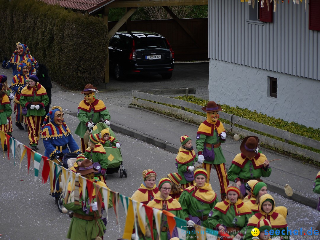 Faschingsumzug: Wasserburg am Bodensee, 08.02.2014