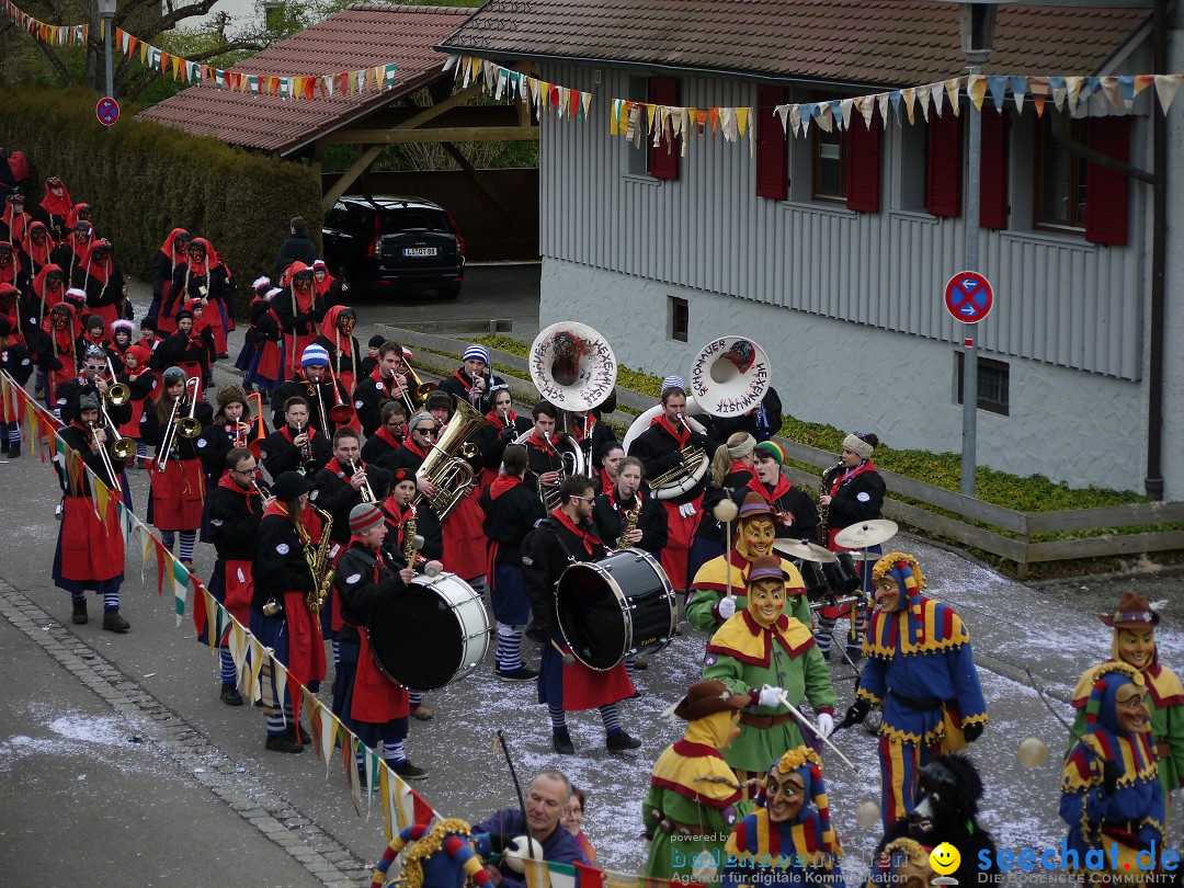 Faschingsumzug: Wasserburg am Bodensee, 08.02.2014