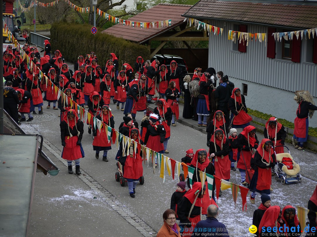 Faschingsumzug: Wasserburg am Bodensee, 08.02.2014