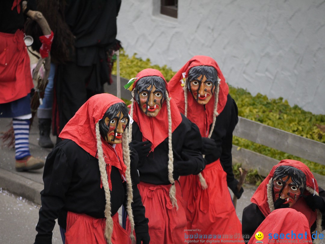 Faschingsumzug: Wasserburg am Bodensee, 08.02.2014