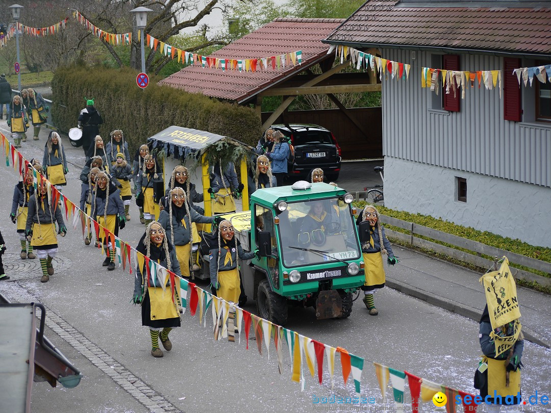 Faschingsumzug: Wasserburg am Bodensee, 08.02.2014