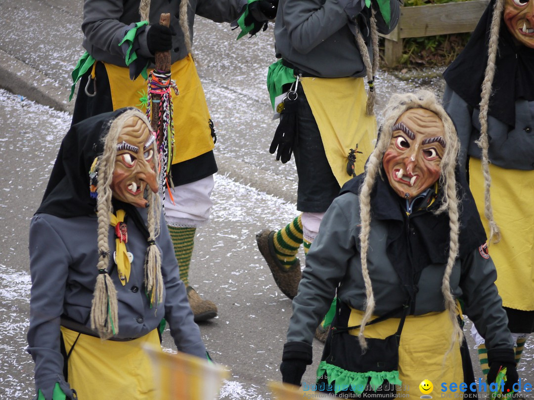 Faschingsumzug: Wasserburg am Bodensee, 08.02.2014