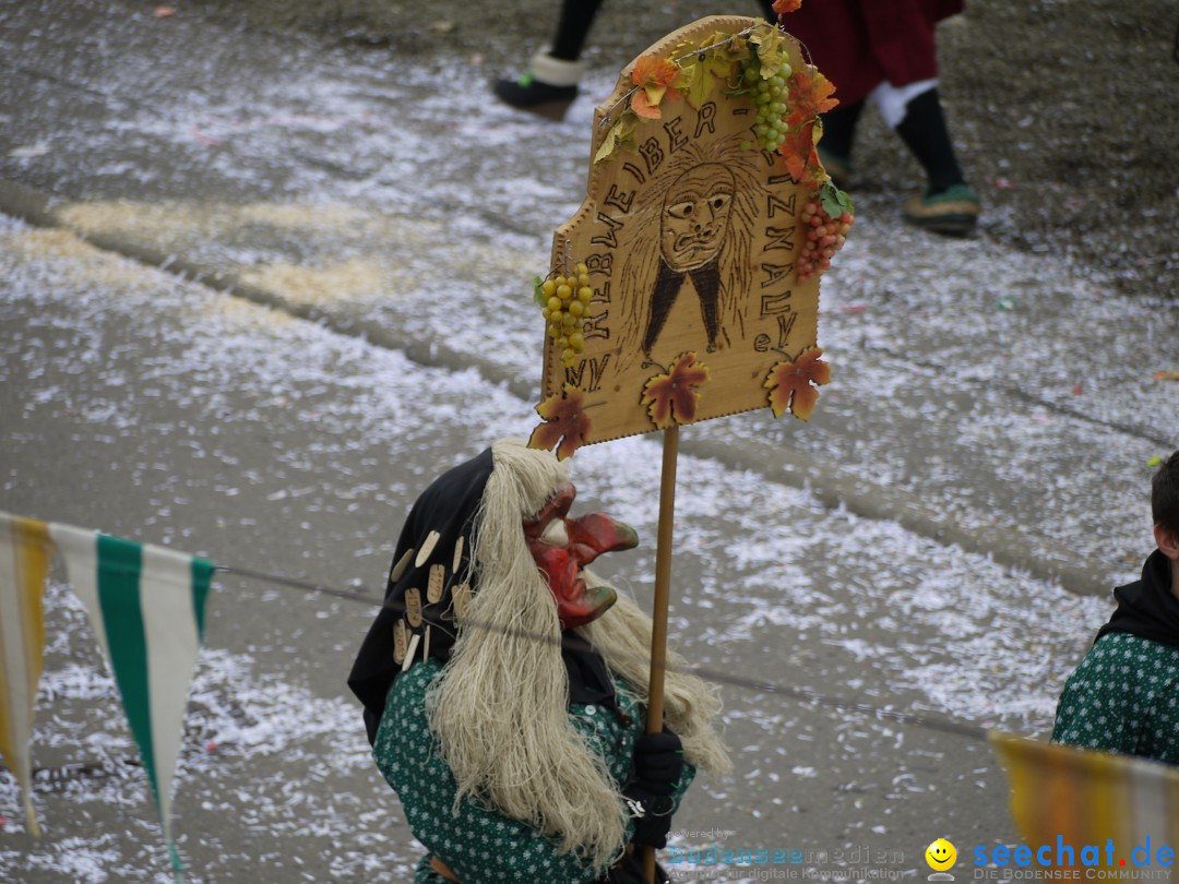 Faschingsumzug: Wasserburg am Bodensee, 08.02.2014