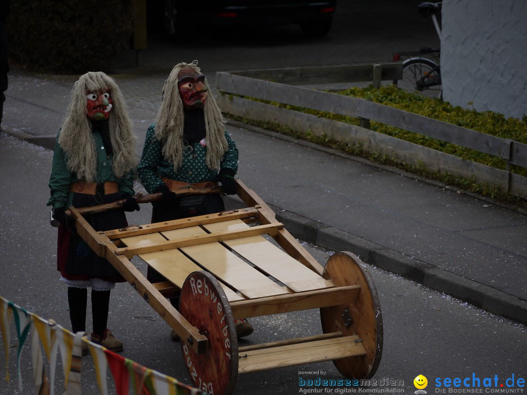 Faschingsumzug: Wasserburg am Bodensee, 08.02.2014