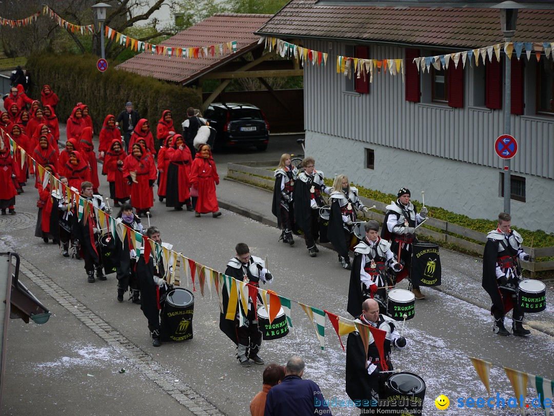 Faschingsumzug: Wasserburg am Bodensee, 08.02.2014