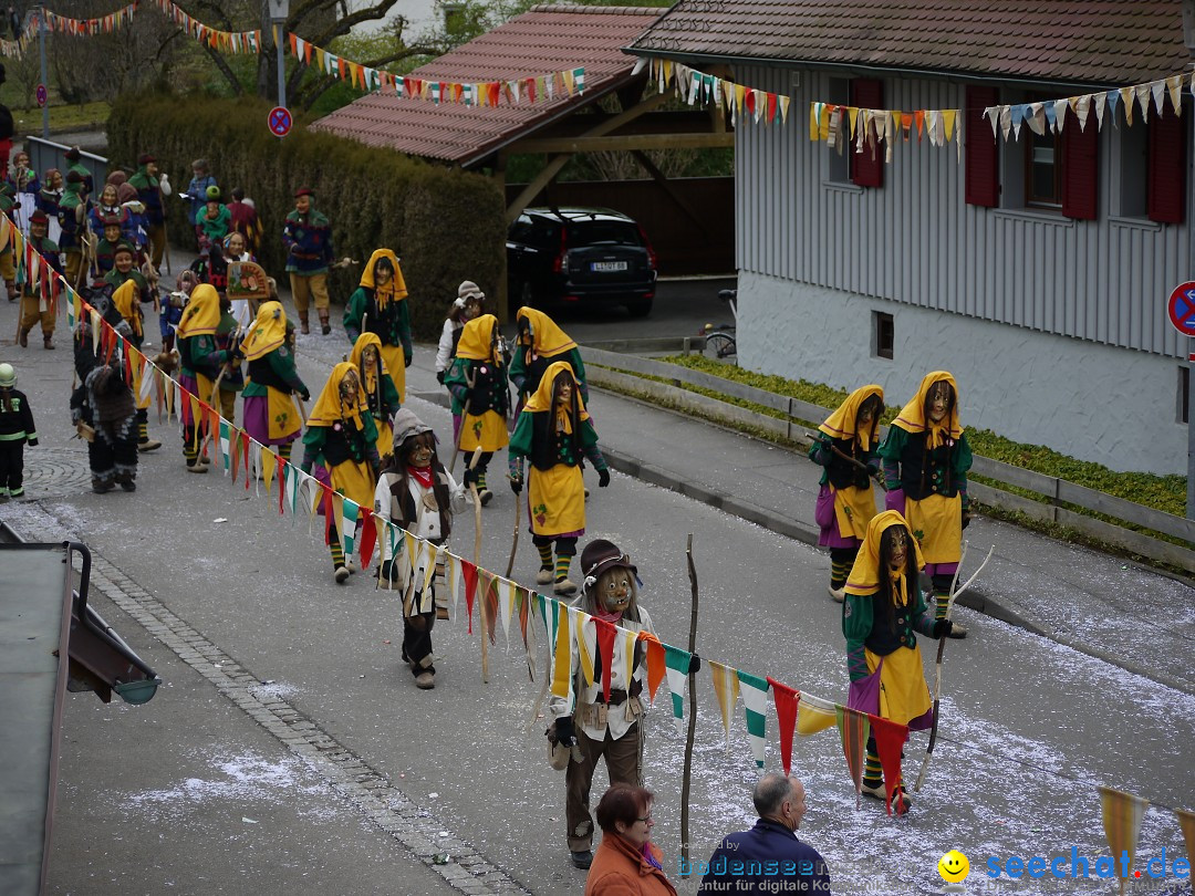 Faschingsumzug: Wasserburg am Bodensee, 08.02.2014