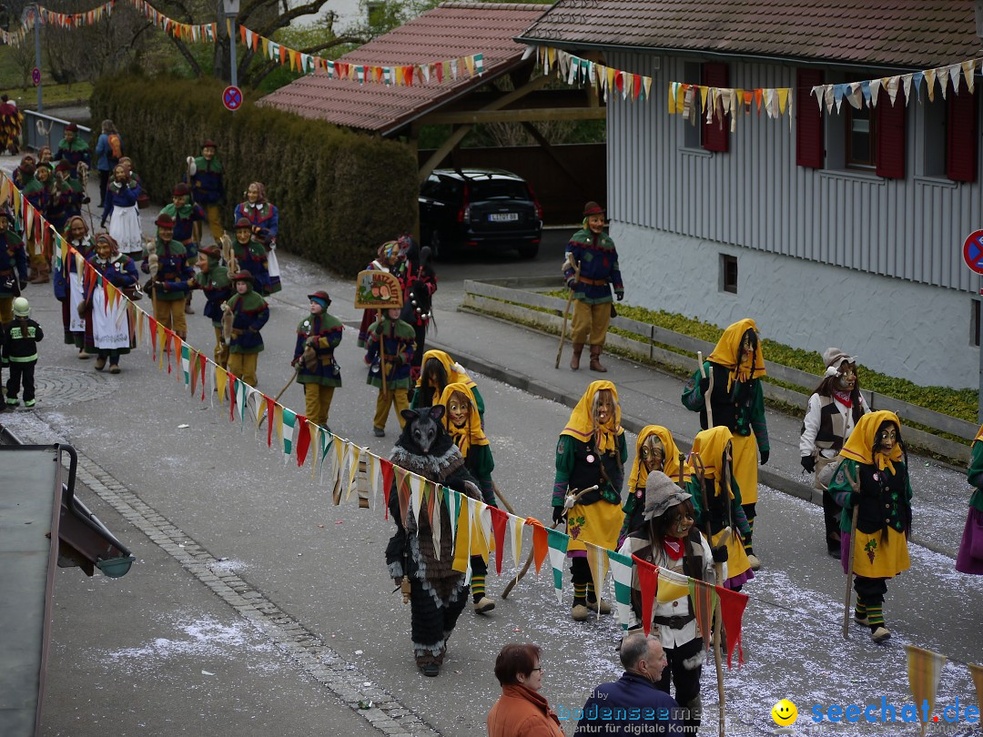 Faschingsumzug: Wasserburg am Bodensee, 08.02.2014