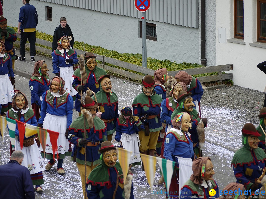 Faschingsumzug: Wasserburg am Bodensee, 08.02.2014