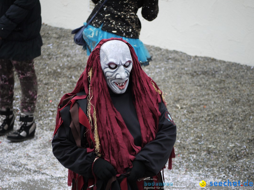 Faschingsumzug: Wasserburg am Bodensee, 08.02.2014