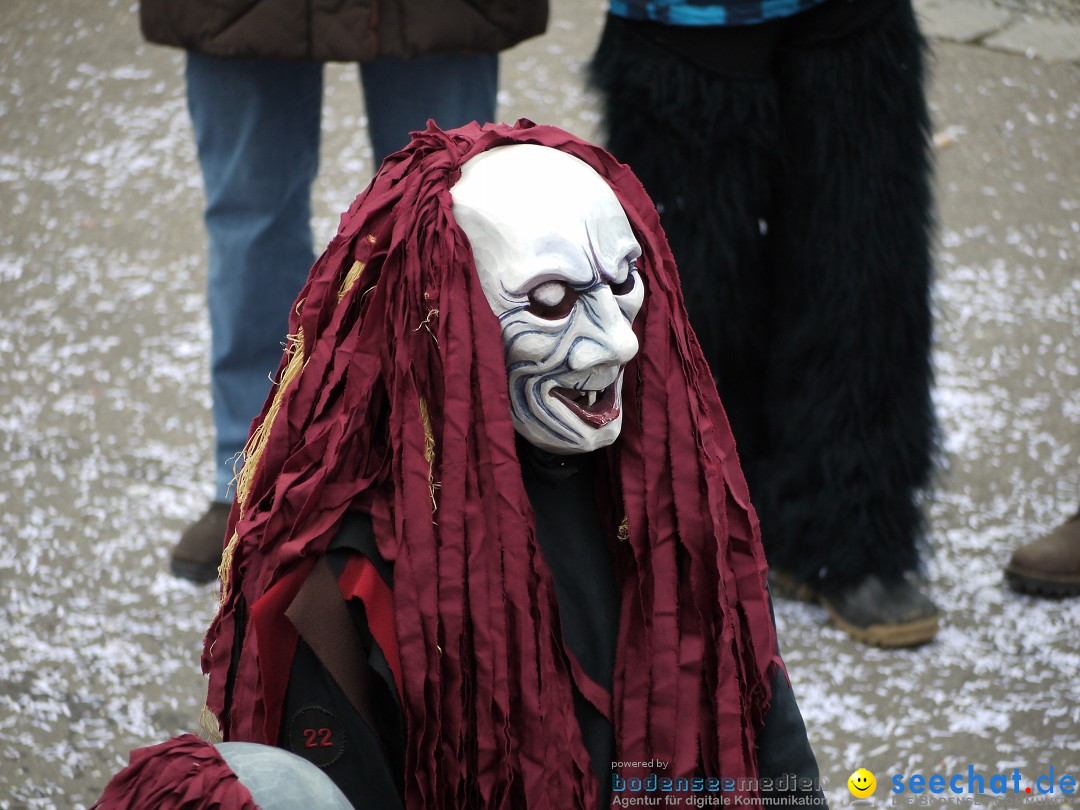 Faschingsumzug: Wasserburg am Bodensee, 08.02.2014