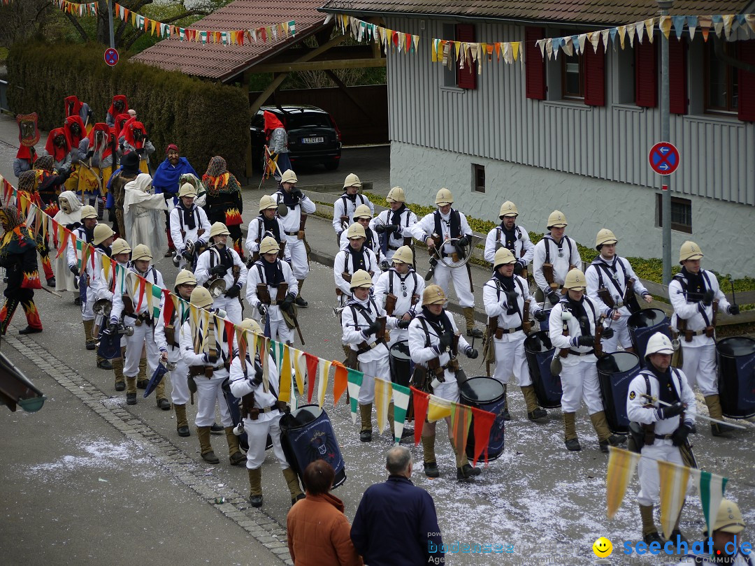 Faschingsumzug: Wasserburg am Bodensee, 08.02.2014