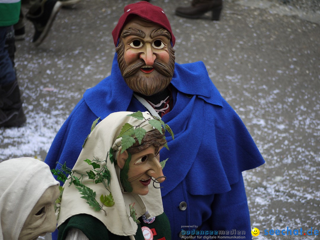 Faschingsumzug: Wasserburg am Bodensee, 08.02.2014