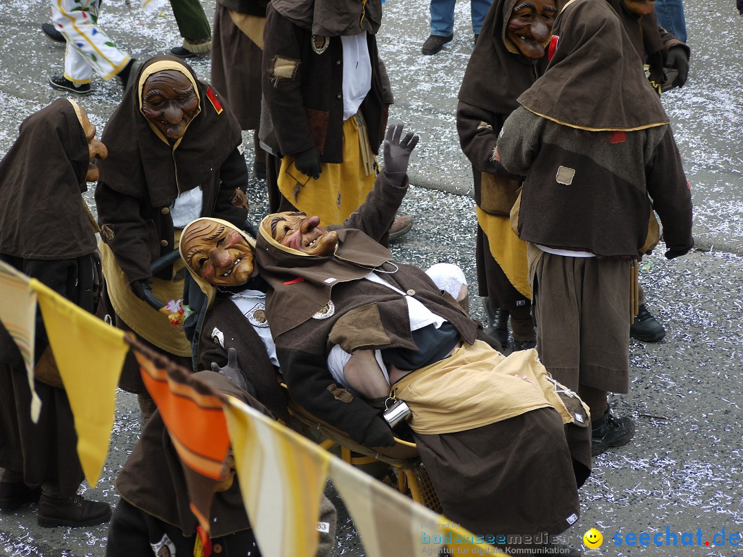 Faschingsumzug: Wasserburg am Bodensee, 08.02.2014