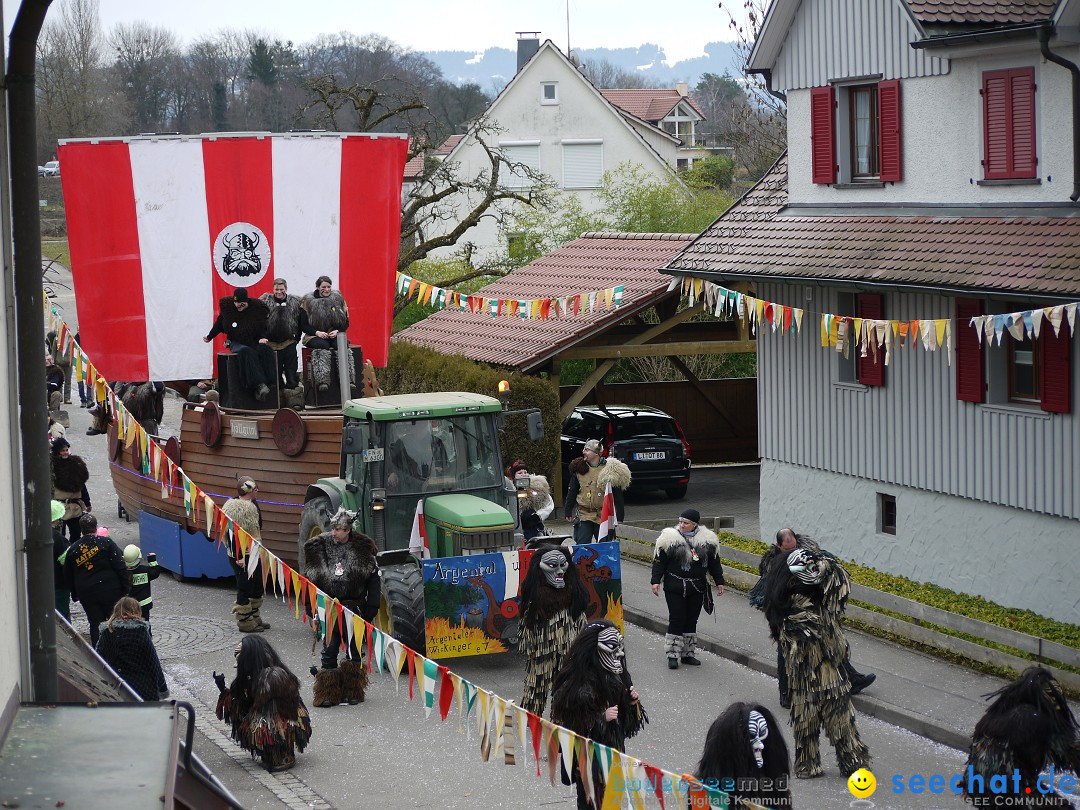 Faschingsumzug: Wasserburg am Bodensee, 08.02.2014