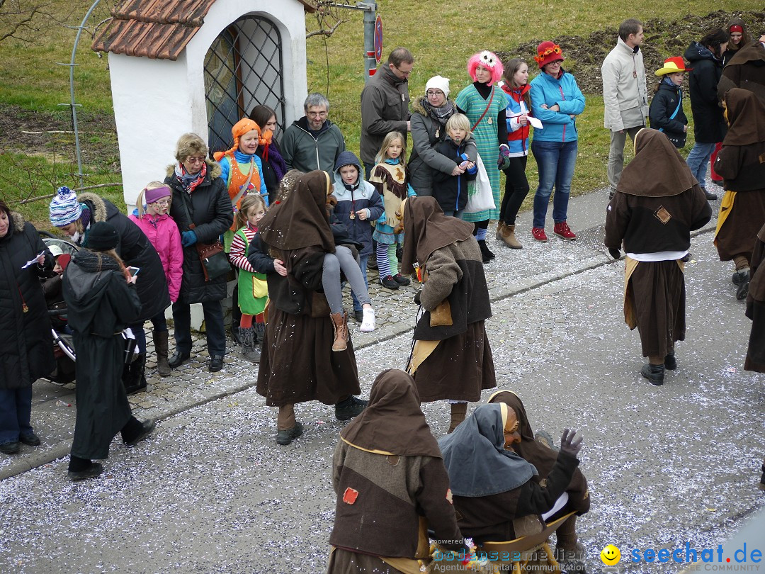 Faschingsumzug: Wasserburg am Bodensee, 08.02.2014