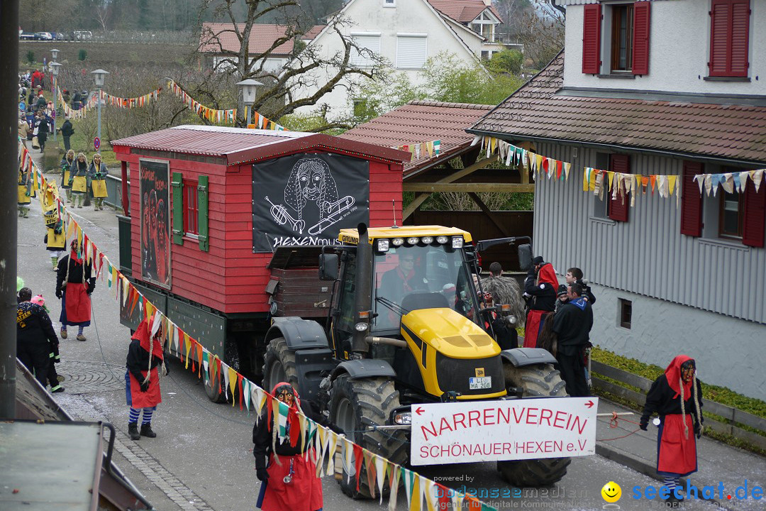 Faschingsumzug: Wasserburg am Bodensee, 08.02.2014