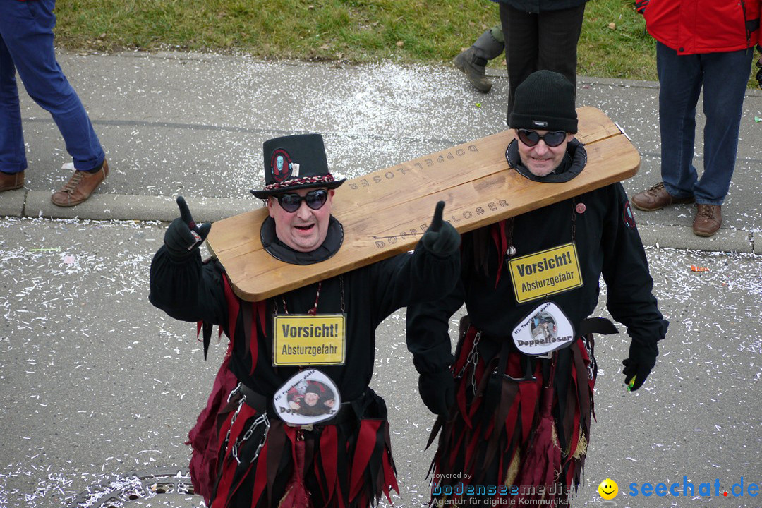 Faschingsumzug: Wasserburg am Bodensee, 08.02.2014