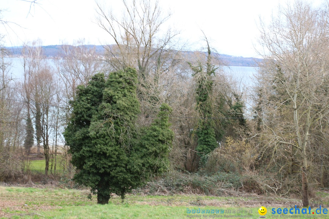 Giganica Hoffnungslauf - Harry Ohlig: Konstanz am Bodensee, 10.02.2014