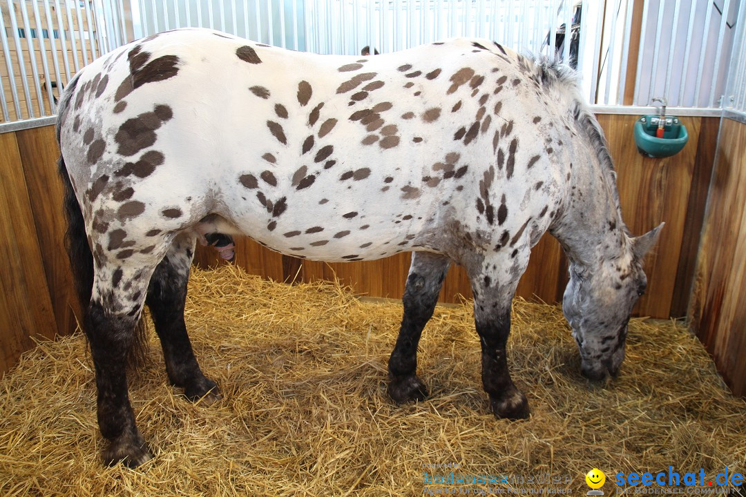 PFERD BODENSEE - Messe Friedrichshafen am Bodensee, 14.02.2014