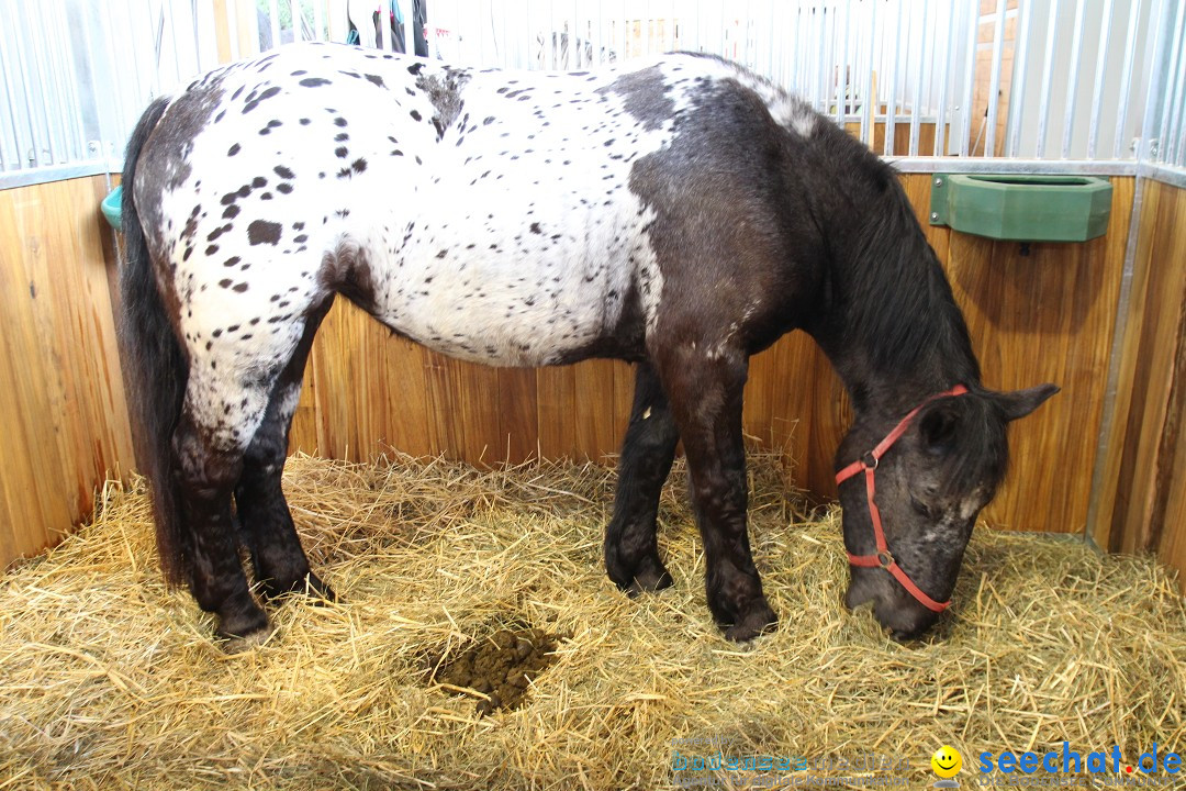 PFERD BODENSEE - Messe Friedrichshafen am Bodensee, 14.02.2014