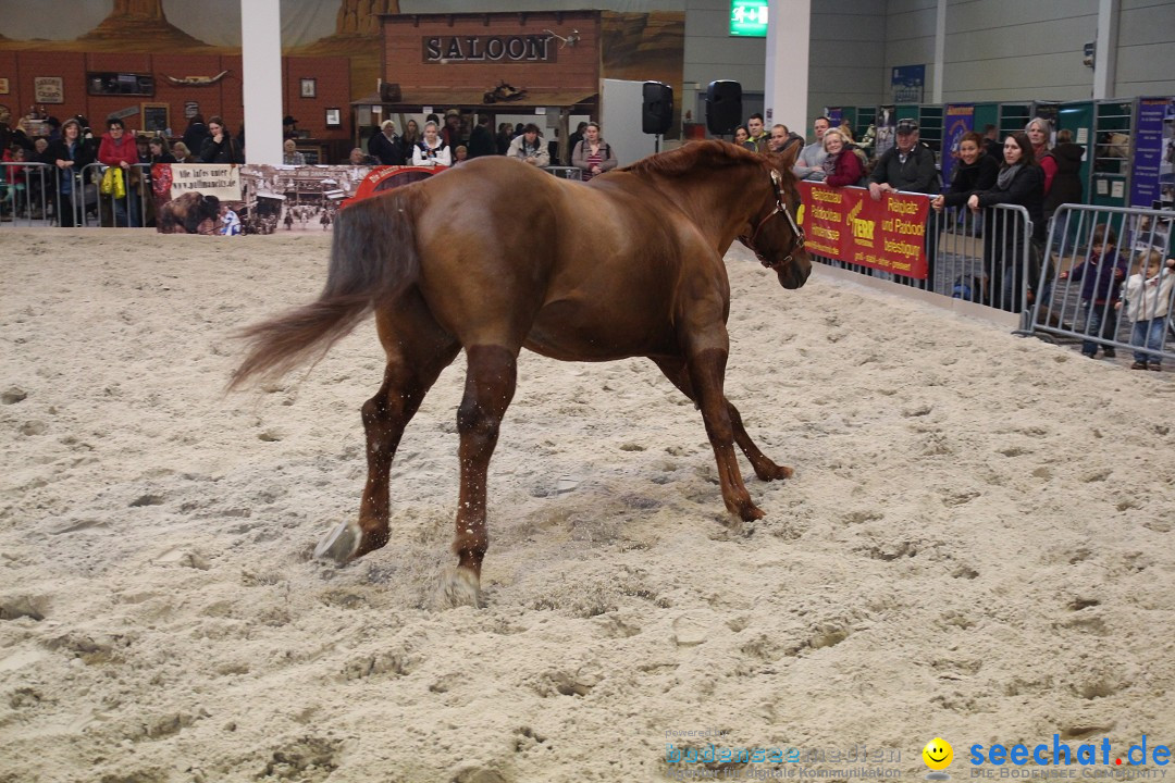 PFERD BODENSEE - Messe Friedrichshafen am Bodensee, 14.02.2014