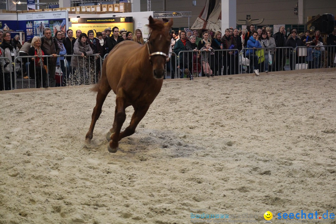 PFERD BODENSEE - Messe Friedrichshafen am Bodensee, 14.02.2014